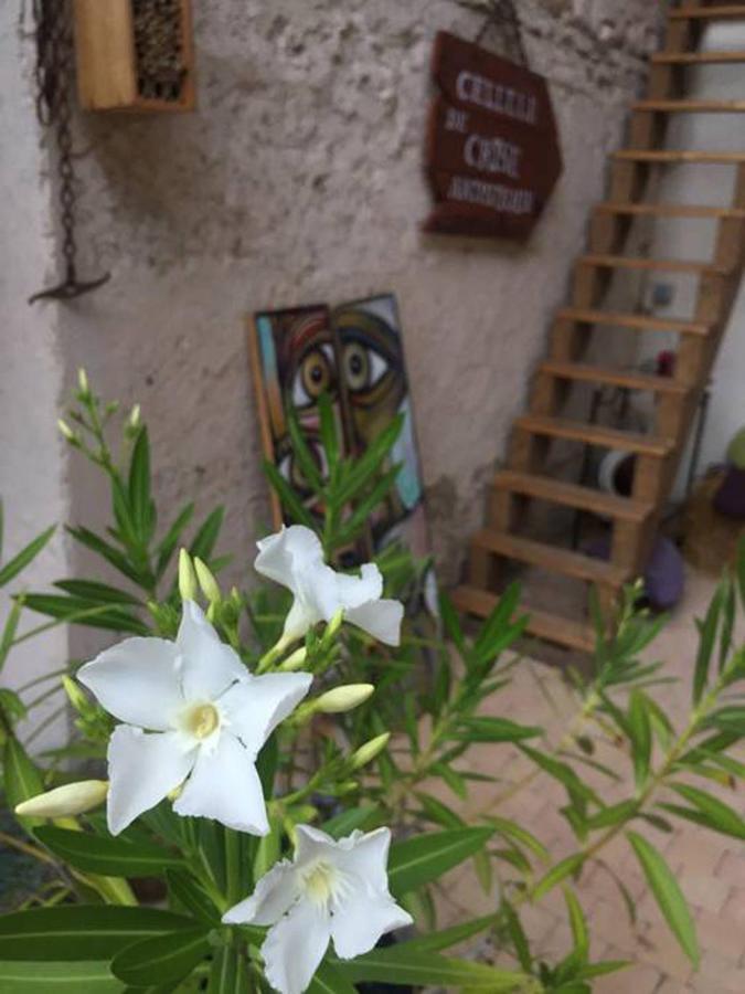 La Grange De La Batone - Bed And Breakfast Messimy-sur-Saone Exterior foto