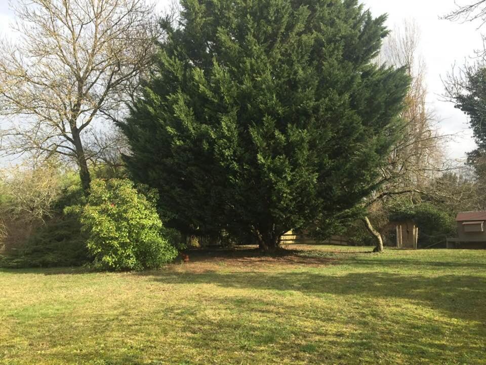 La Grange De La Batone - Bed And Breakfast Messimy-sur-Saone Exterior foto